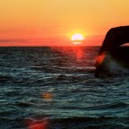 Rainy Saturdays and a Concrete Ship