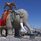 A sunset, an elephant, and a drive.