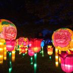 City of Blinding Lights.