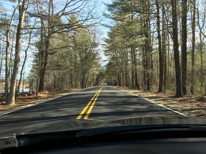 View of two-lane road through woods.