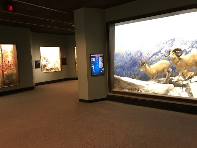 Dioramas in museum.