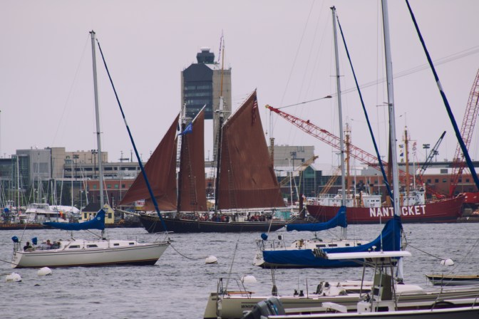 Schooner Roseway making its way through a crowded harbor.