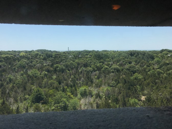 View of the Cape May Lighthouse and a forest, from the top of Fire Control Tower 23.