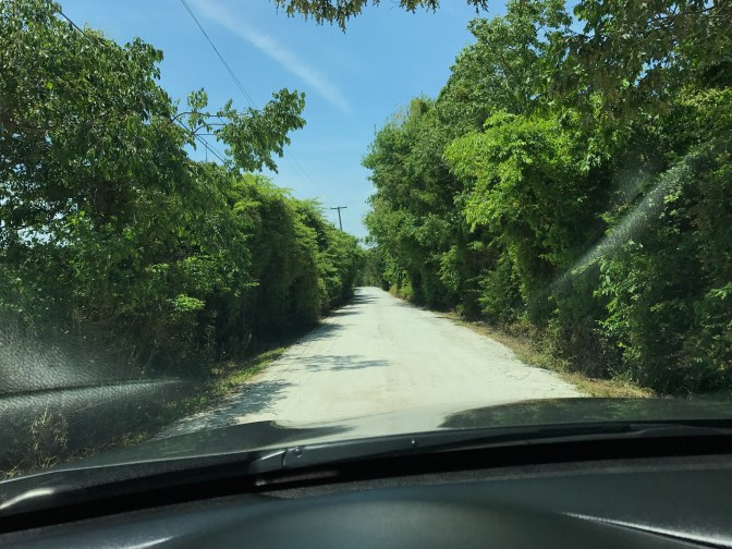 One-lane gravel road, with trees on either side.