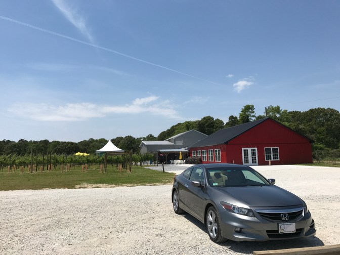 2012 Honda Accord in front of vineyard.