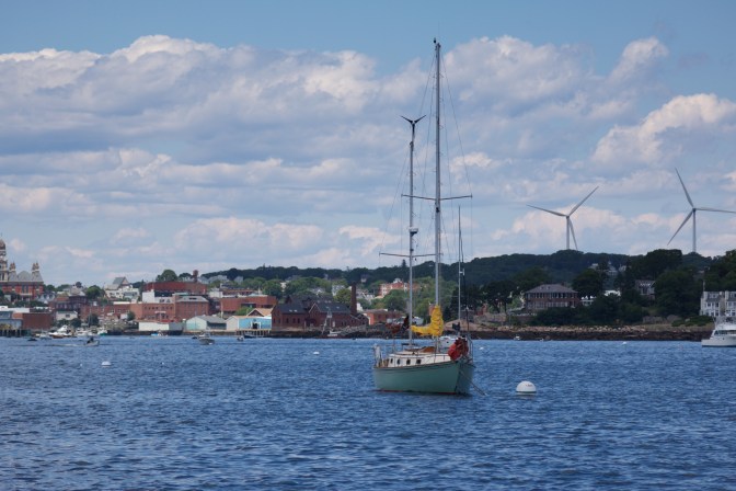 Sailing vessel at anchor near the coast.