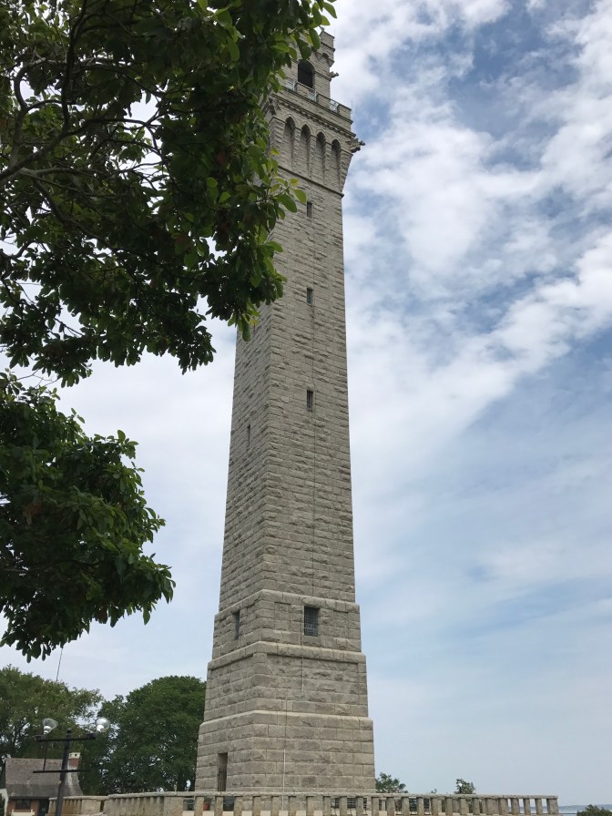View of Pilgrim Monument. A tree branch is in the foreground.