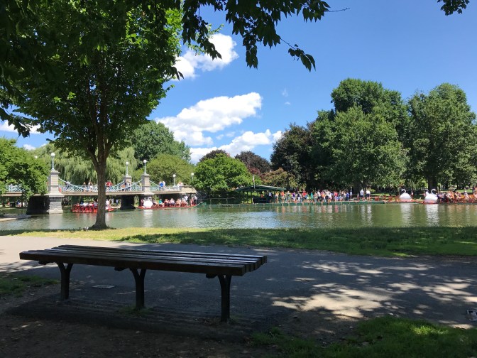 Bench in front of pond at Boston Public Garden.