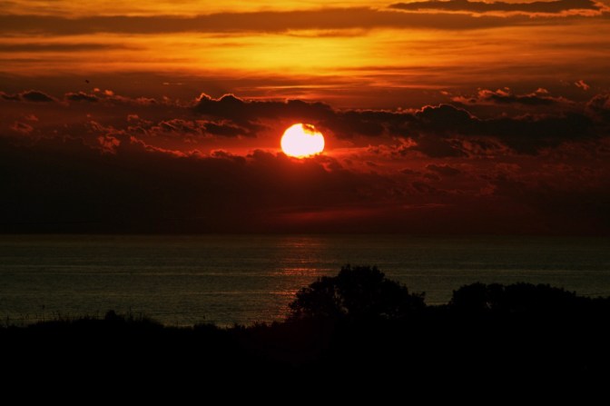 Sunset photograph over the Atlantic Ocean. Trees, in silhouette, are in the foreground.