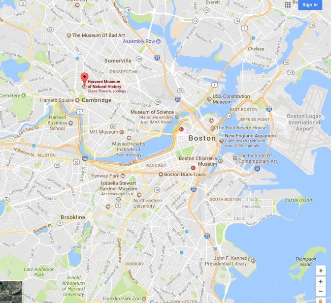 Map of Boston and Cambridge, with a pin in the Harvard Museum of Natural History