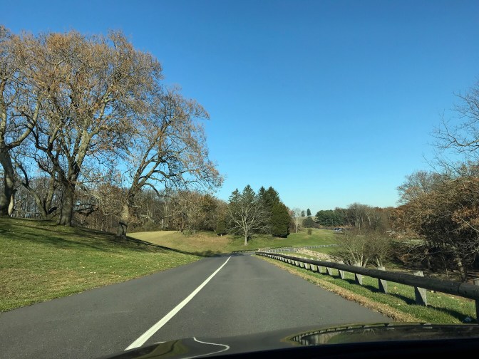 View of the long winding road to the Visitor's Center, taken from behind the wheel of a car.
