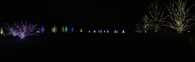 Lit trees at Longwood Gardens.