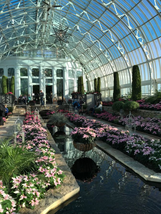 Interior of Como Conservatory.