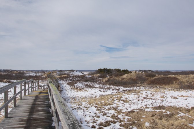 Boardwalk leading over the dunes to the beach.