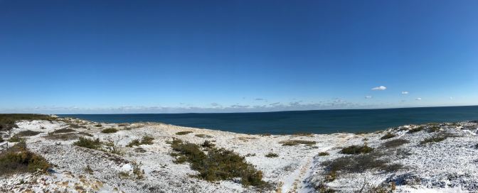 Snow-covered dunes of Cape Cod.