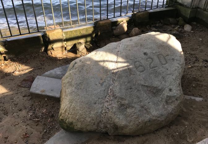 Plymouth Rock.