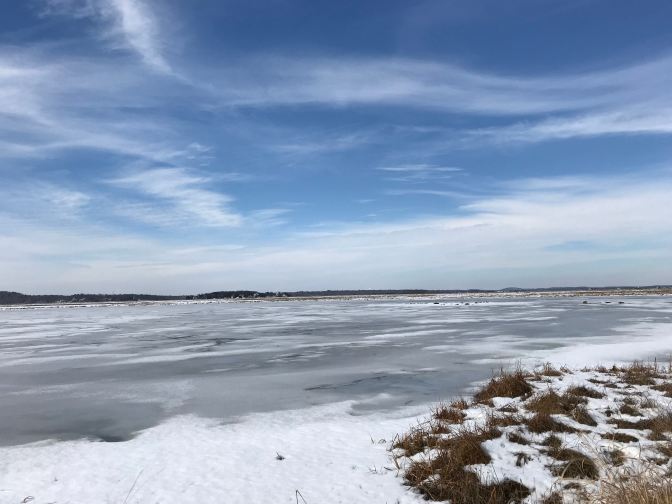 Frozen salt marshes.
