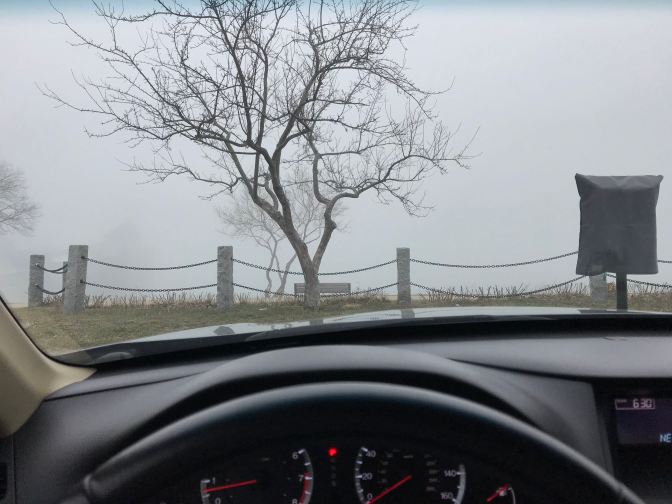 View of fog-filled Plymouth Harbor, from behind wheel of car. A tree is in the foreground.