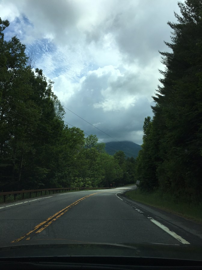 Twisting, tree-lined road with mountains in the distance.
