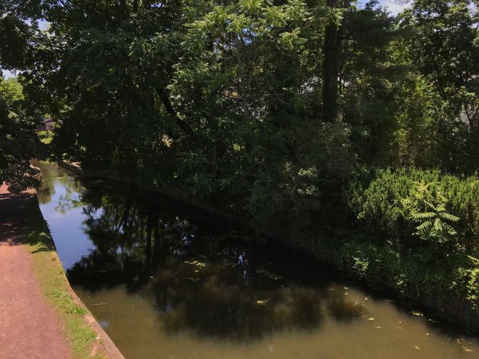View of tree-lined Delaware Canal.