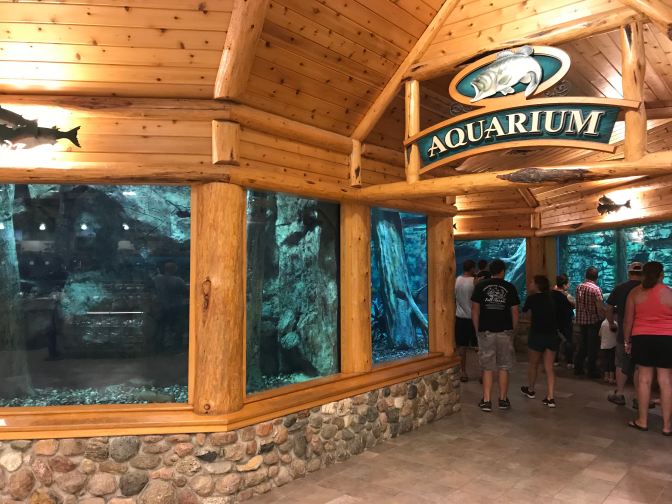 View of aquarium in the store.