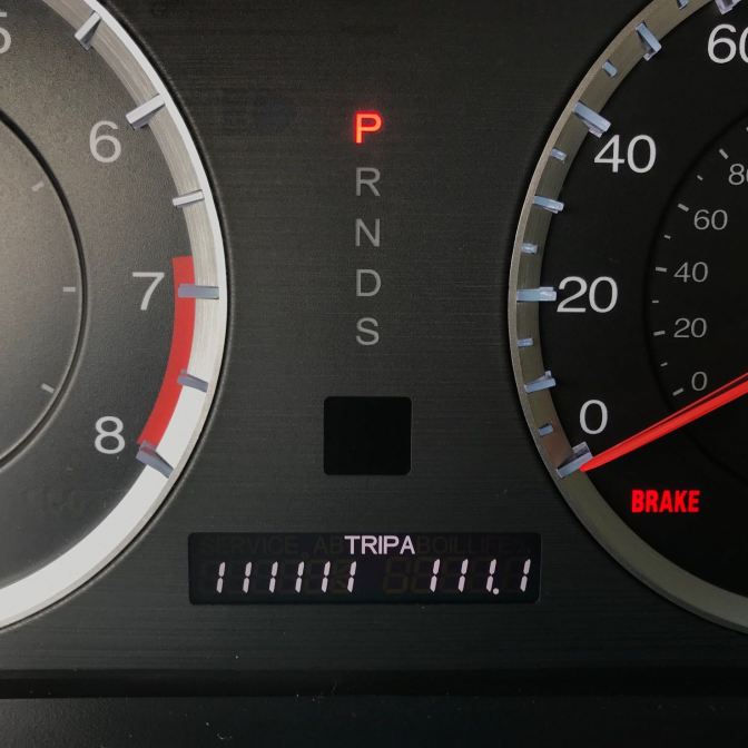 Odometer reading TRIP A 111111 111.1