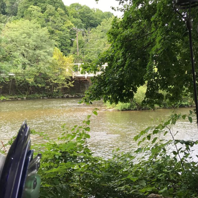 View of the Rarity River.