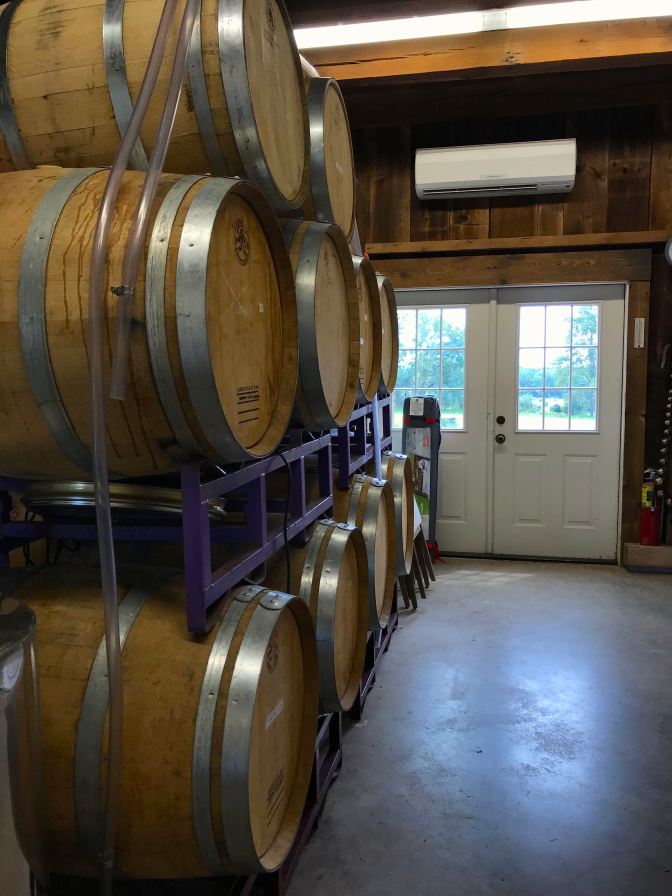 Casks of wine in a room in a barn. Doors look out upon the vineyard in the background.