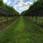 Eat, Drink, and Be Merry.