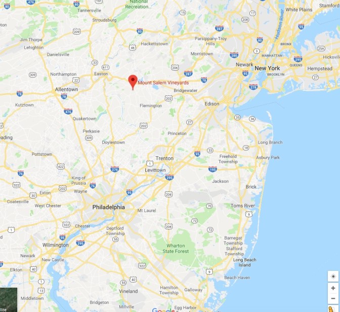 Map of New Jersey with a red pin in the location of Mount Salem Vineyards.