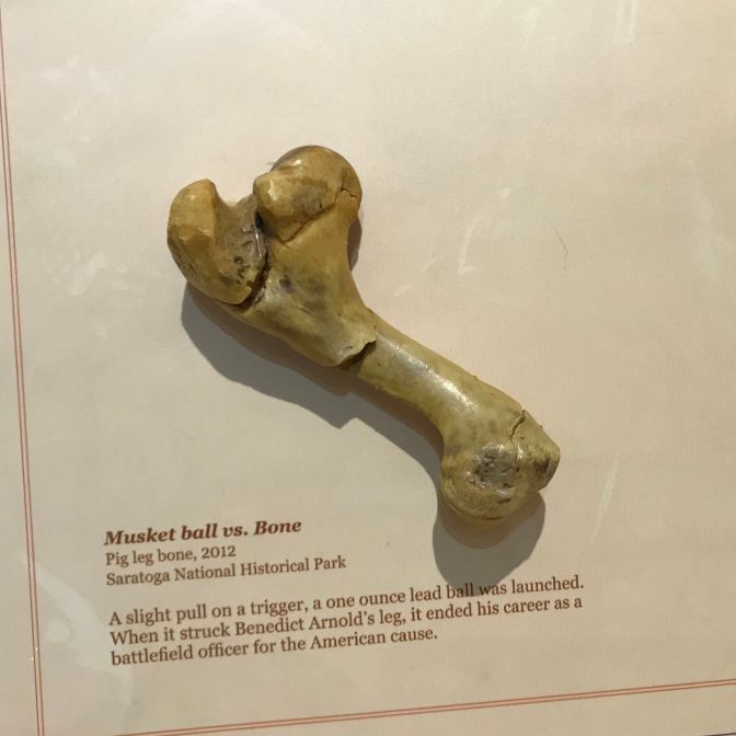 Pig leg bone broken by musket ball.