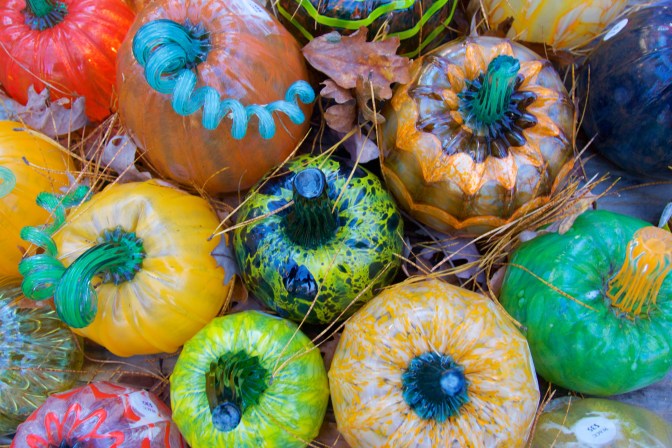 Birds-eye view of glass pumpkins, in multiple colors including yellow, orange, red, and green.