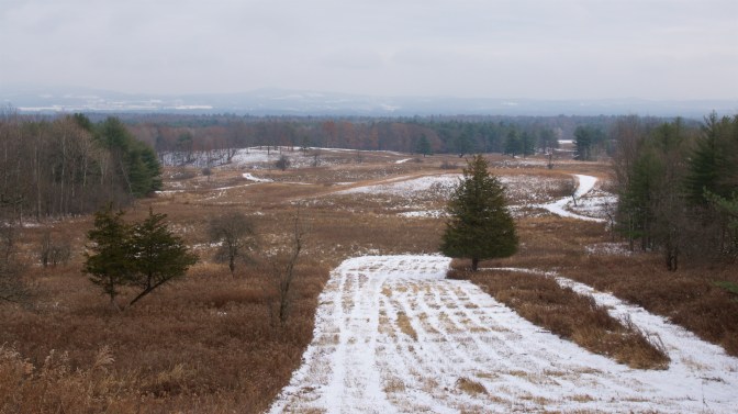 View of Saratoga Battlefield.