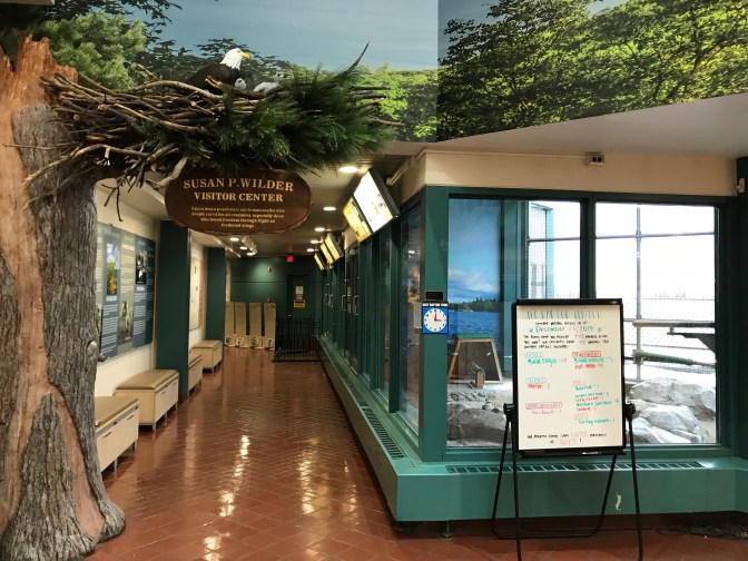Susan P. Wilder Visitor Center. A diorama of a tree with an eagle’s nest is in the foreground.
