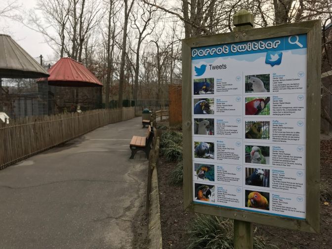 Sign that says PARROT TWITTER with images of six parrots, along with social media profiles next to each one.