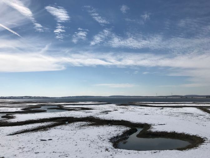 Snow-covered Marshland in state park new Newburyport, MA.
