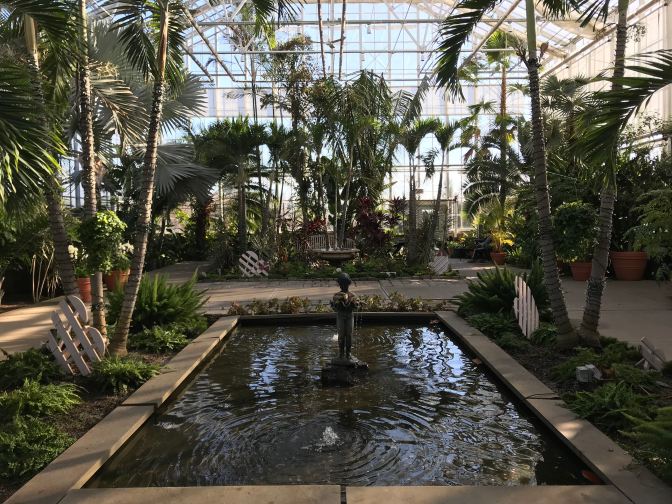 Indoor view of greenhouse, with a fountain and pool in the foreground and palm trees around the building.