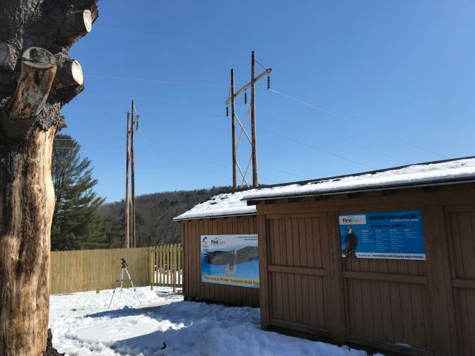 Exterior of Shepaug Eagle Observation Site, with a tree trunk on the right of the image. Power lines are in the background.