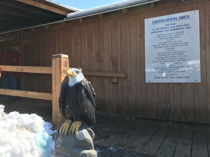 Wooden eagle statue in front of observatory. A sign in the background titled OBSERVATION AREA has rules for attending the park.
