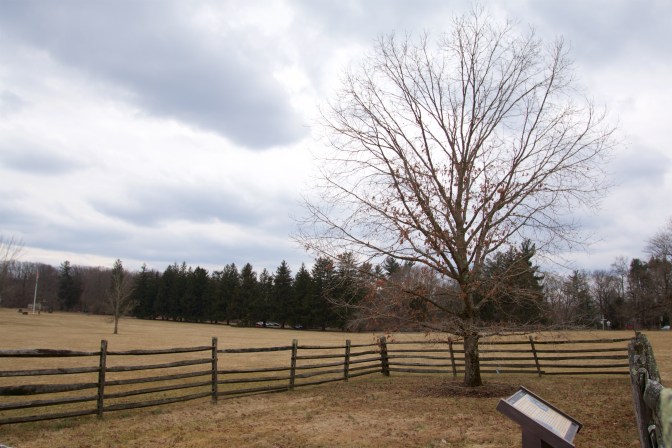 Tree, surrounded by wooden fence, in battlefield.