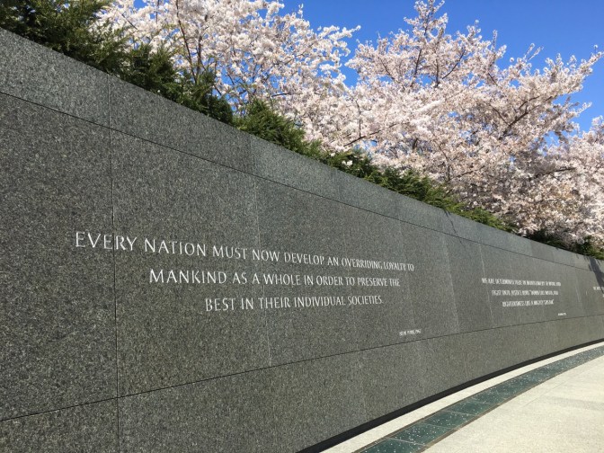 Cherry Blossoms above the Martin Luther King, Jr. Memorial.