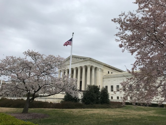 U.S. Supreme Court building, with cherry blossom trees in the foreground.