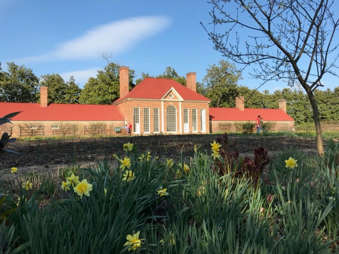 Exterior of Greenhouse, with yellow flowers in foreground.