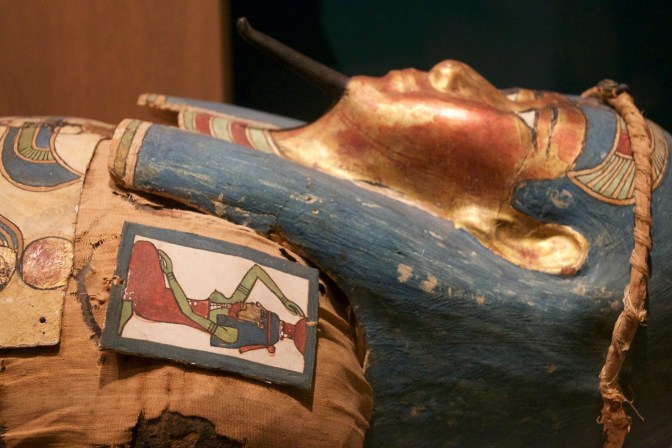 Mummy coffin, in colors like gold, blue, and red.