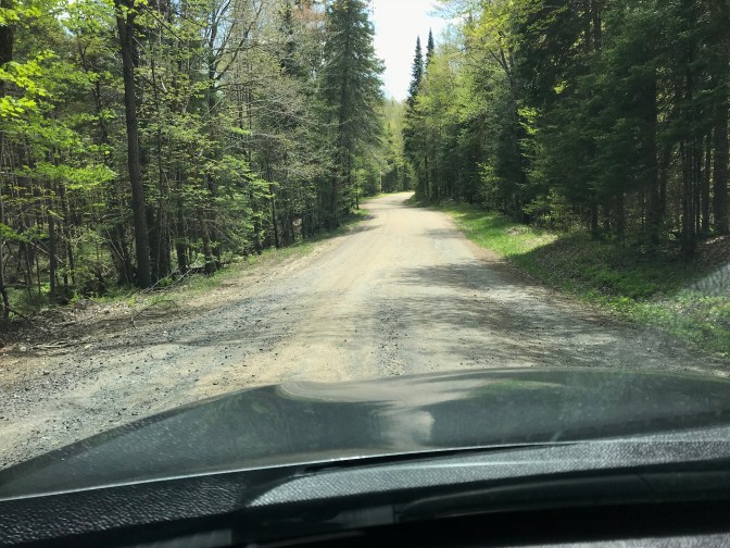 Tree-lined dirt road, with hood of Honda Accord in foreground.