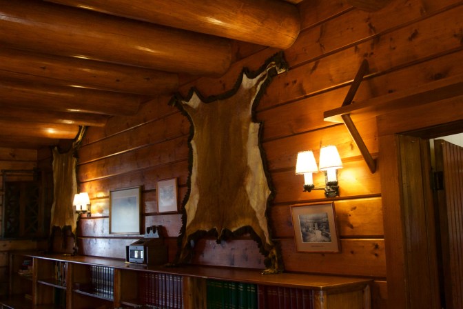 Animal skins hang from walls, with bookshelves and lights for reading.