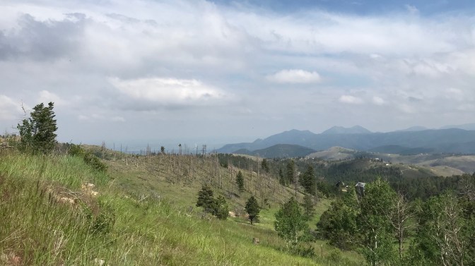 View of Rocky Mountains, with trees and grassland in foreground.