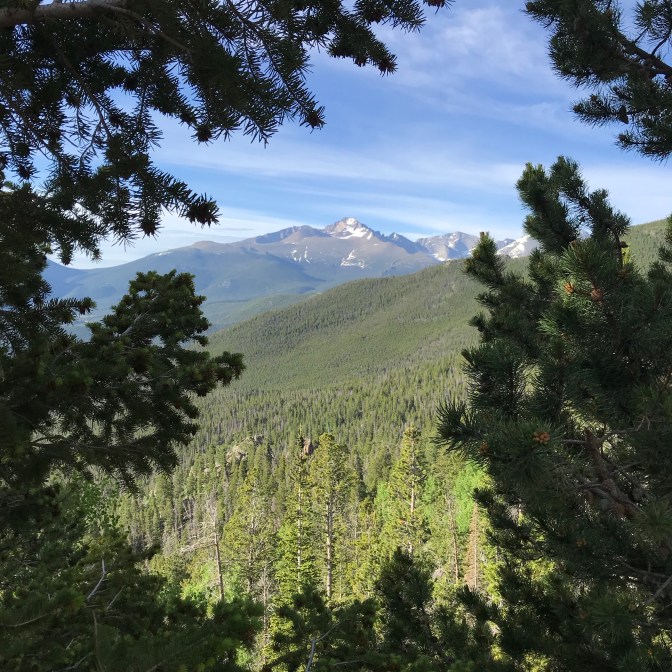 View of mountains, with pine branches framing the view.