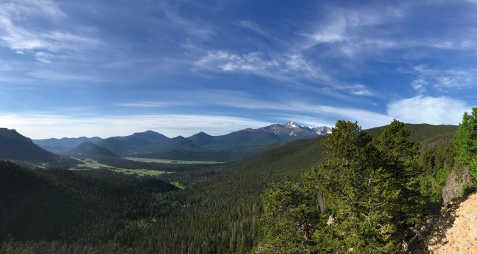 Panorama of forest and mountains.