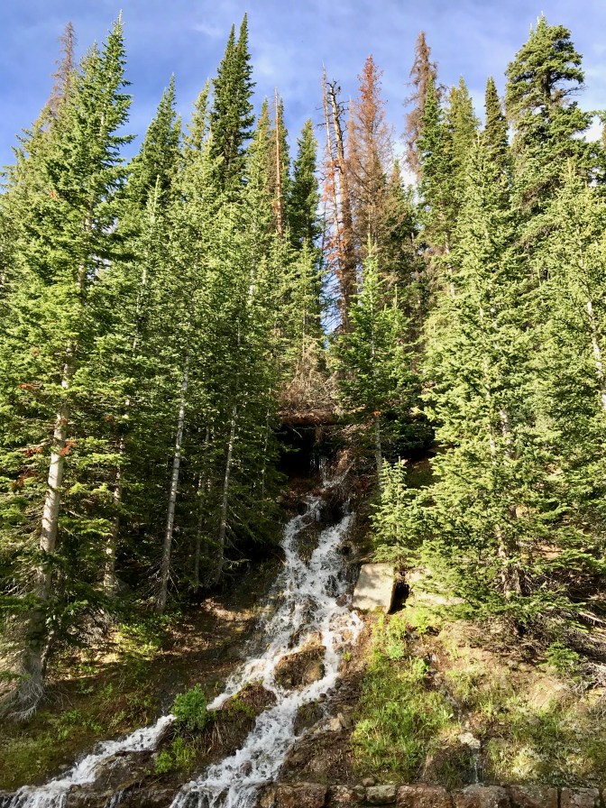 Waterfall between trees.